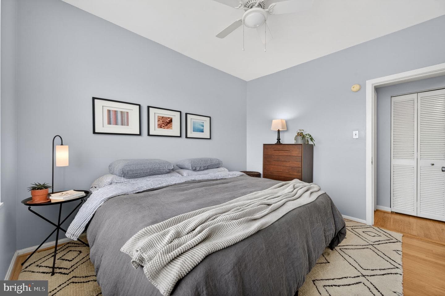 1736 Willard Street NW #501 photo 19