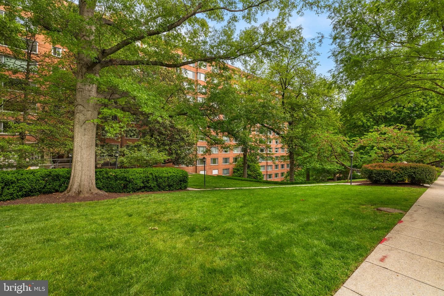 4200 Cathedral Avenue NW #901 photo 40