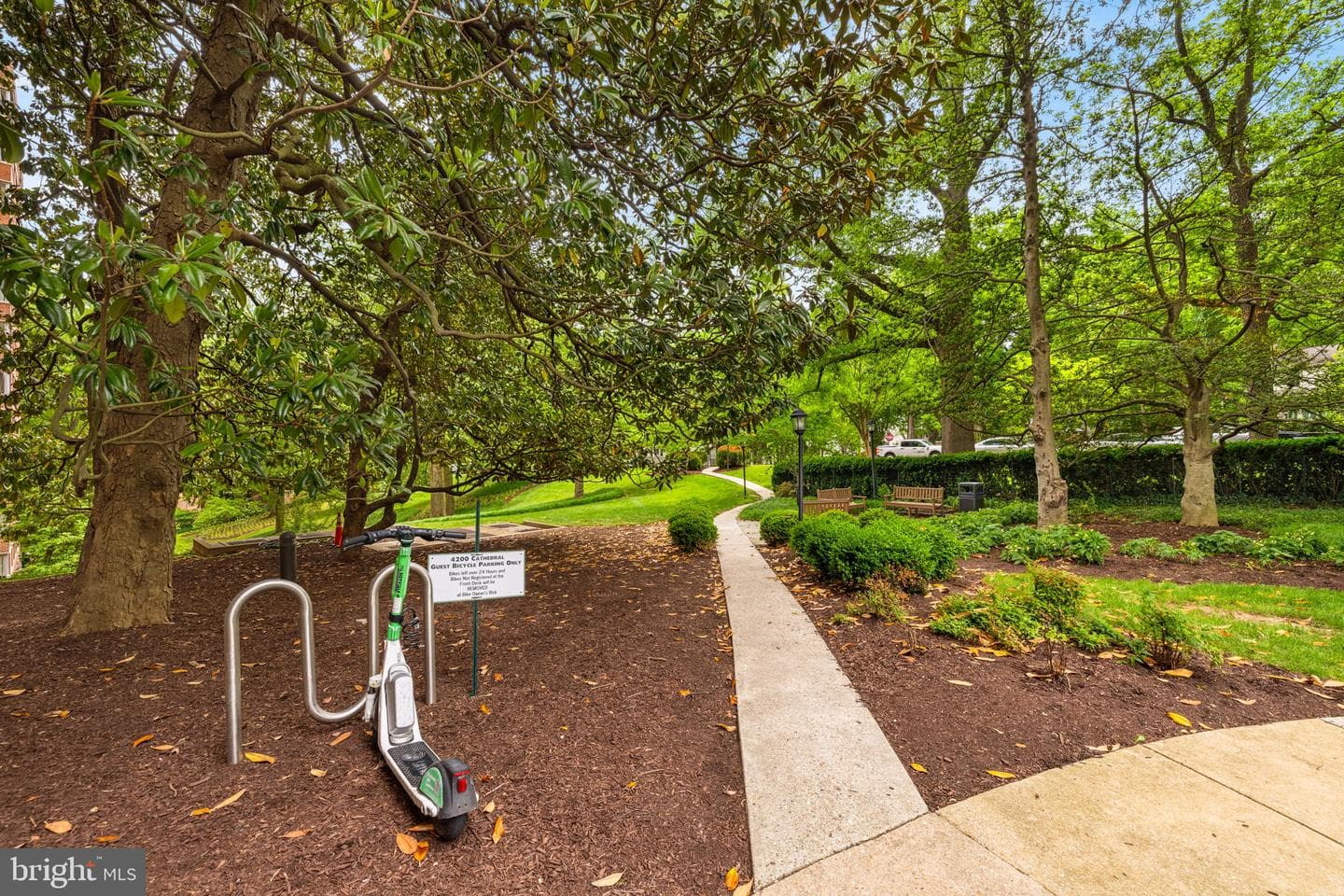 4200 Cathedral Avenue NW #901 photo 42