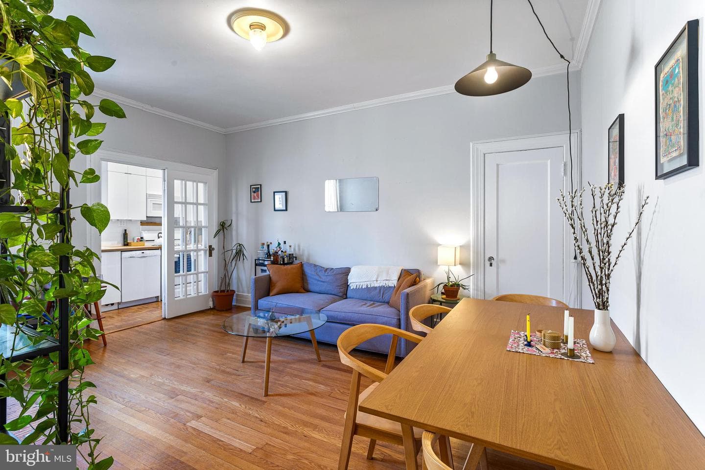 1734 P Street NW #53 photo 6