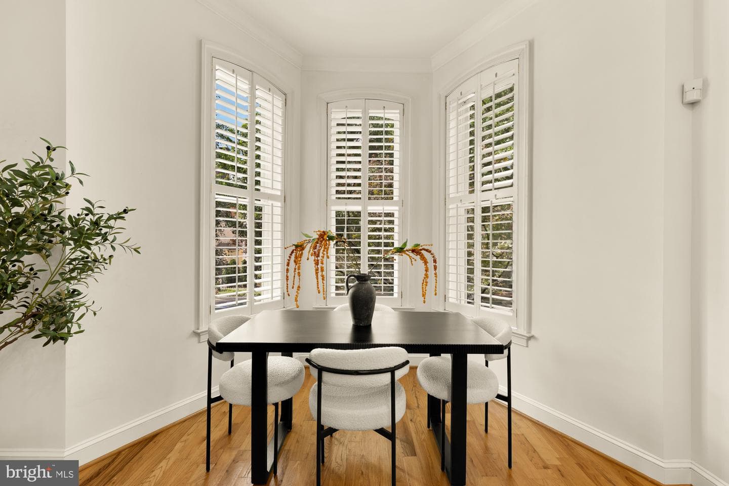 1340 Q Street NW #11 photo 6