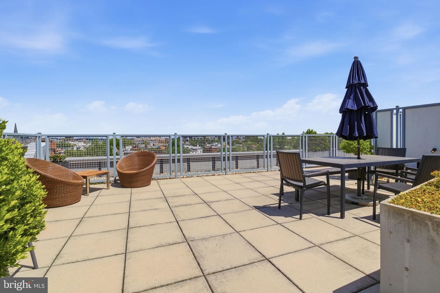 1529 14th Street NW #202 photo 18