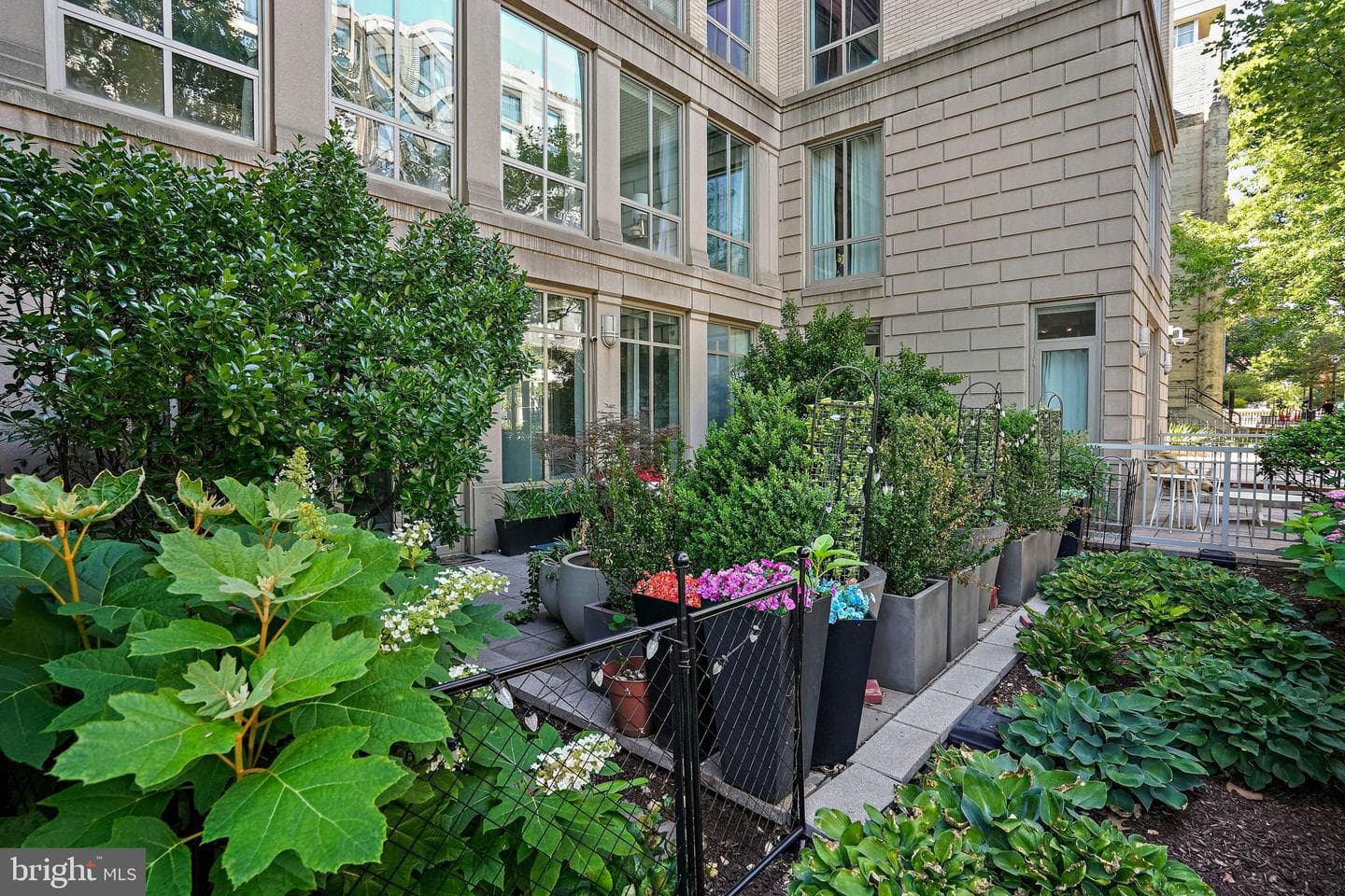 301 Massachusetts Avenue NW #103 photo 13