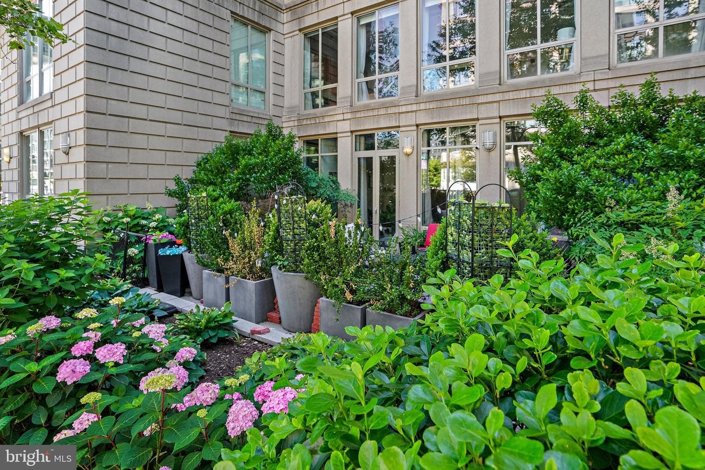 301 Massachusetts Avenue NW #103 photo 14