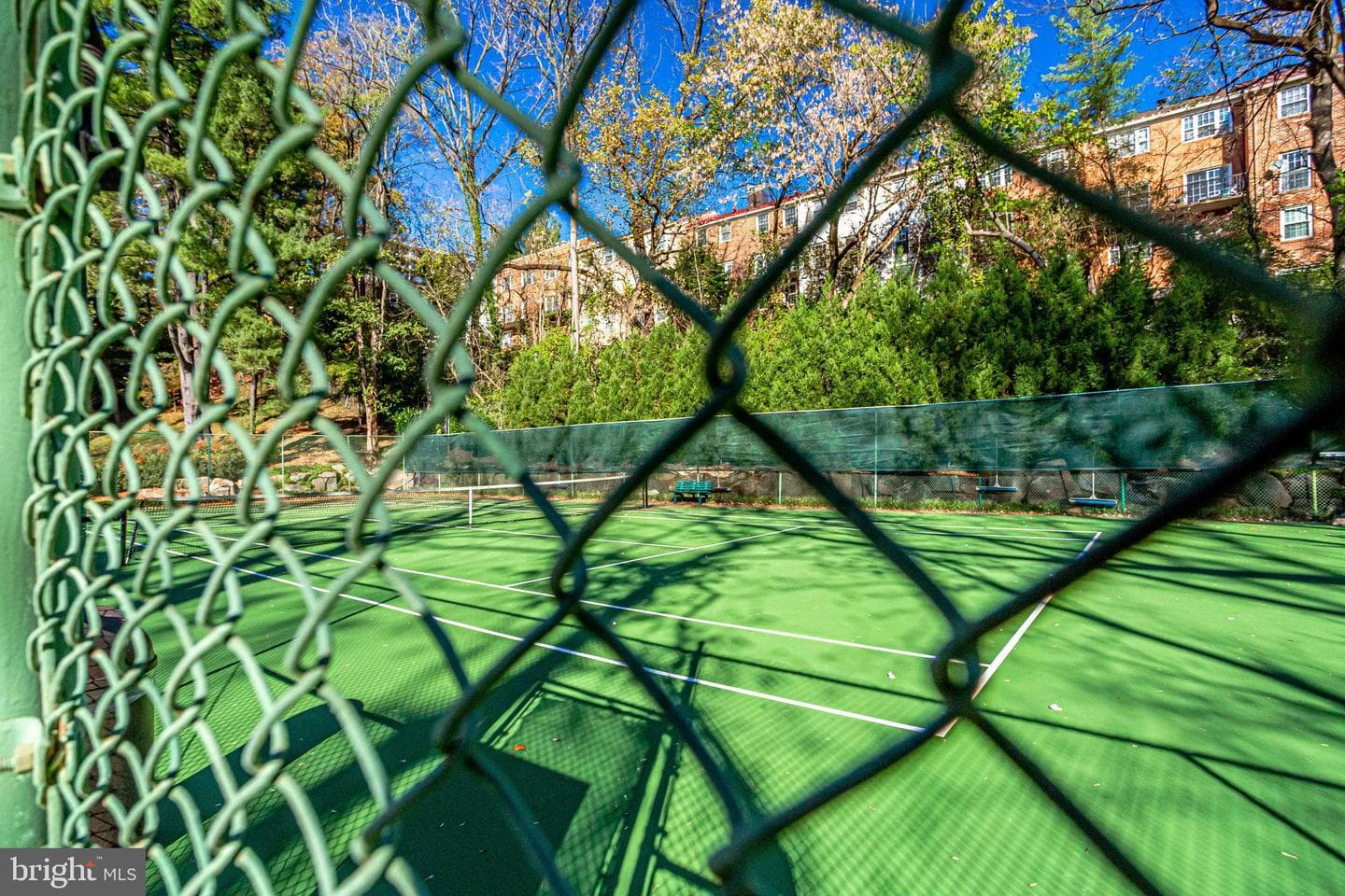4201 Cathedral Avenue NW #212e photo 40
