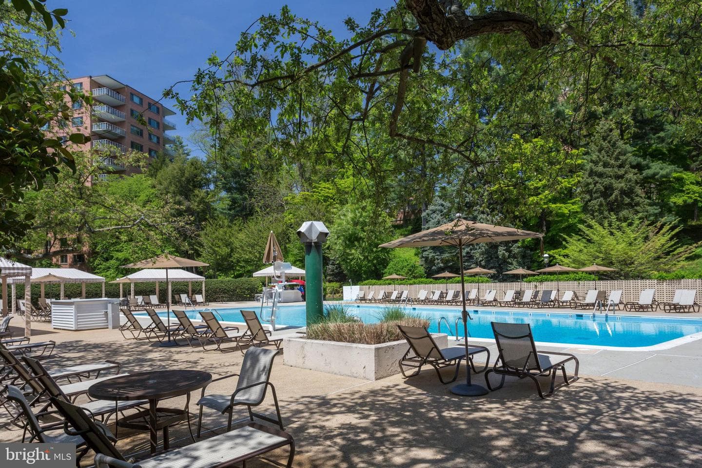 4201 Cathedral Avenue NW #212e photo 44