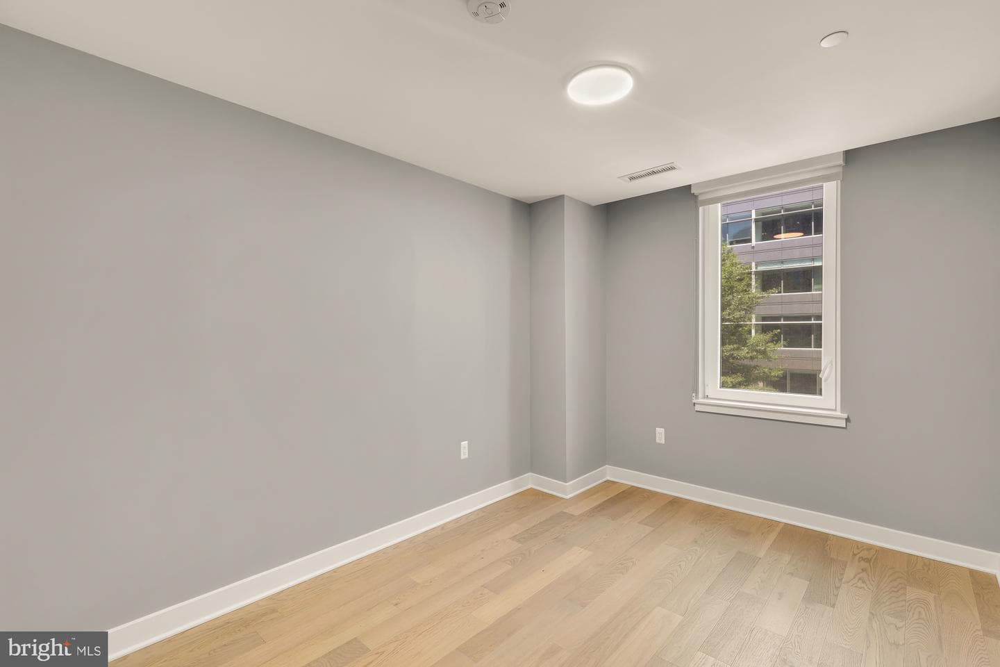 37 L Street SE #301 photo 18