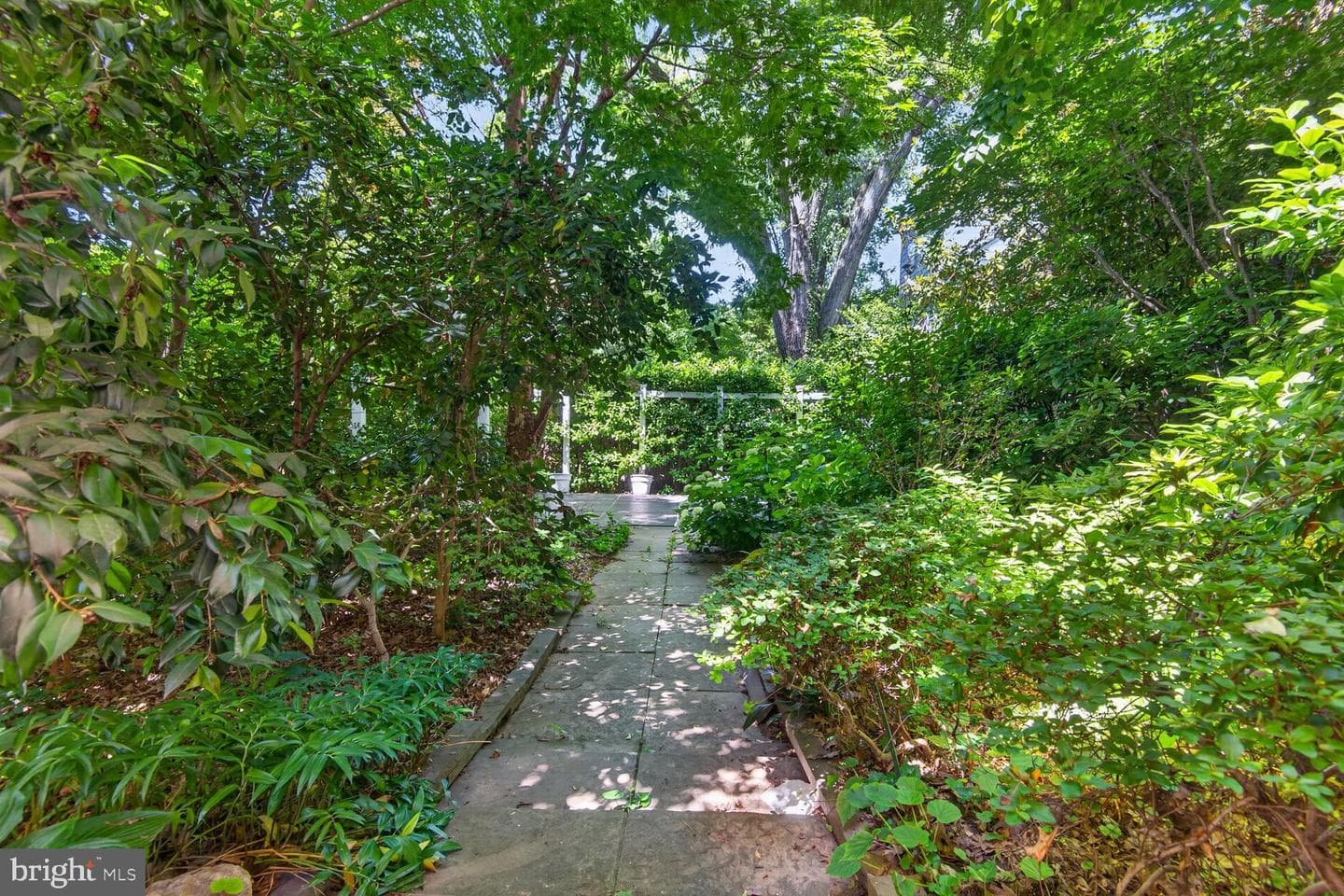 1656 Foxhall Road NW photo 4