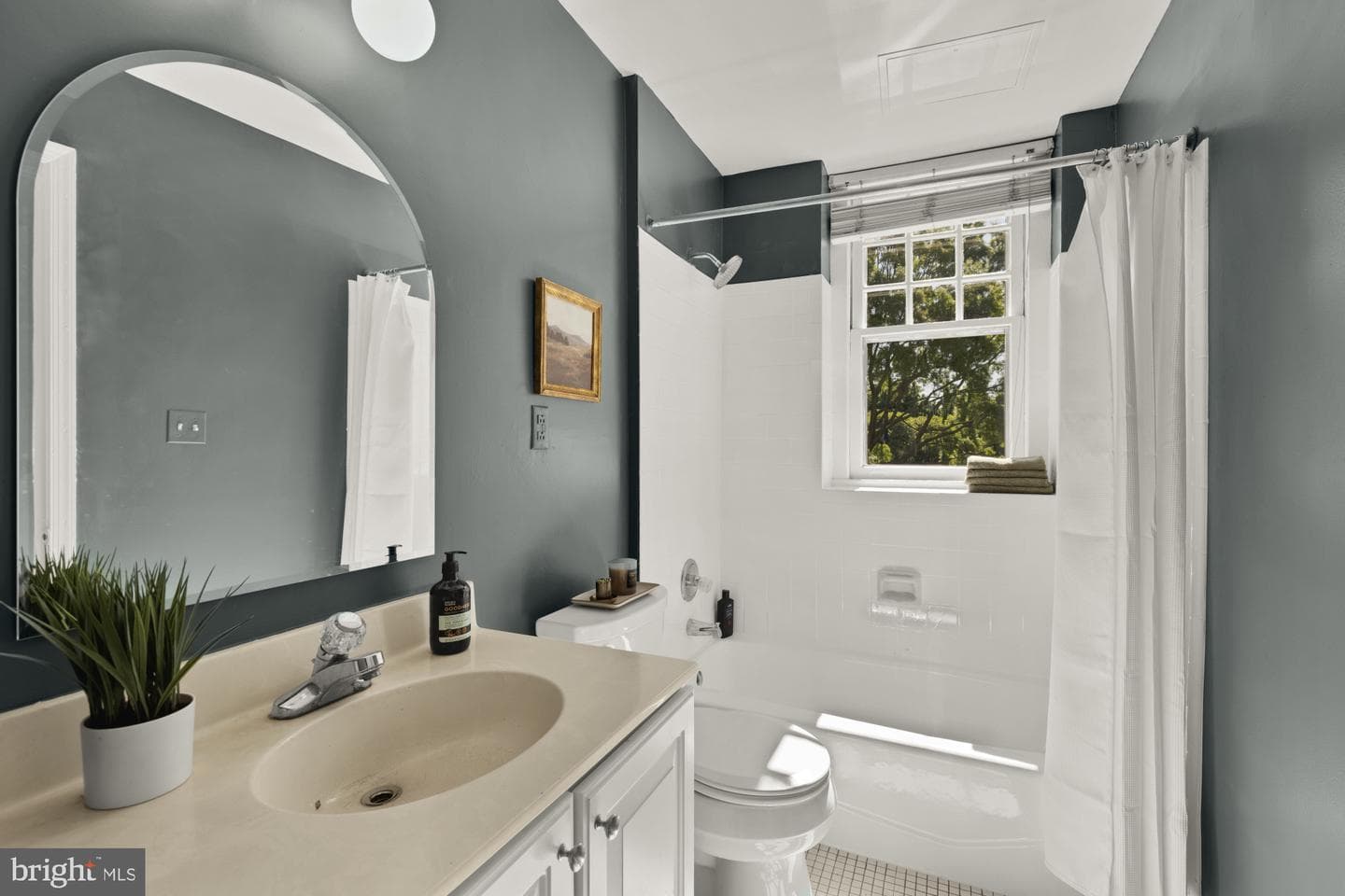 3426 16th Street NW #101 photo 19
