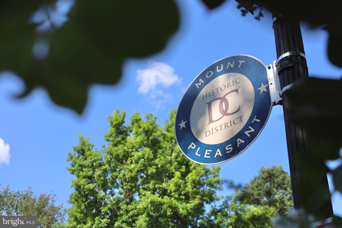 3426 16th Street NW #101 photo 31