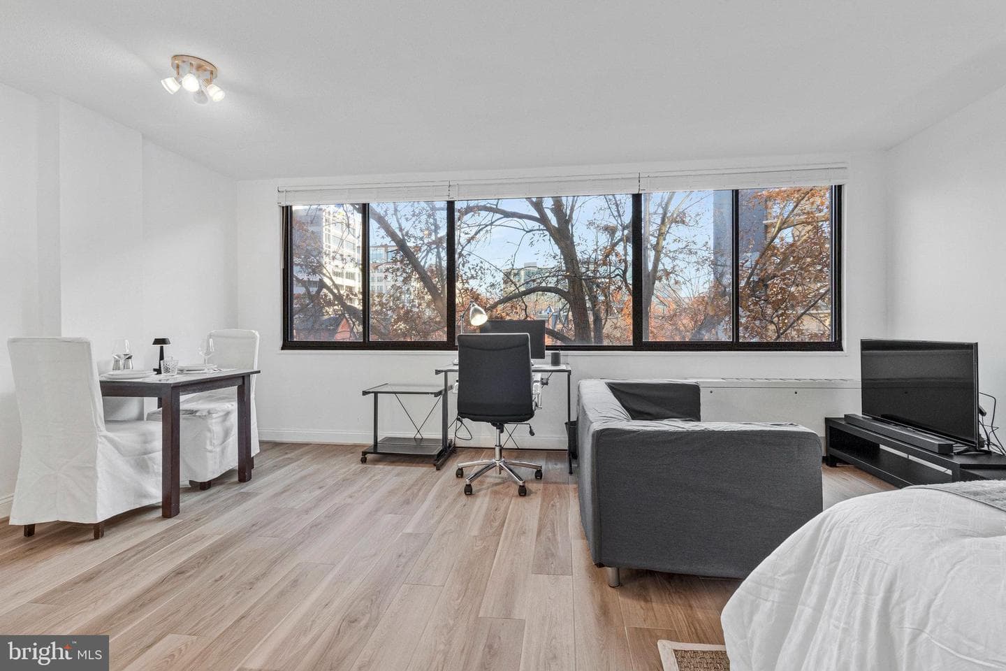 2201 L Street NW #509 photo 8