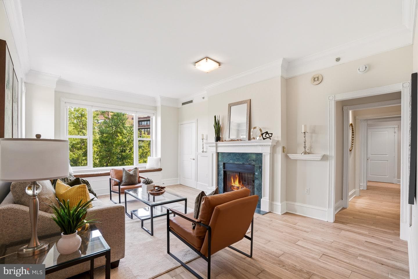 2600 Pennsylvania Avenue NW #4d photo 9