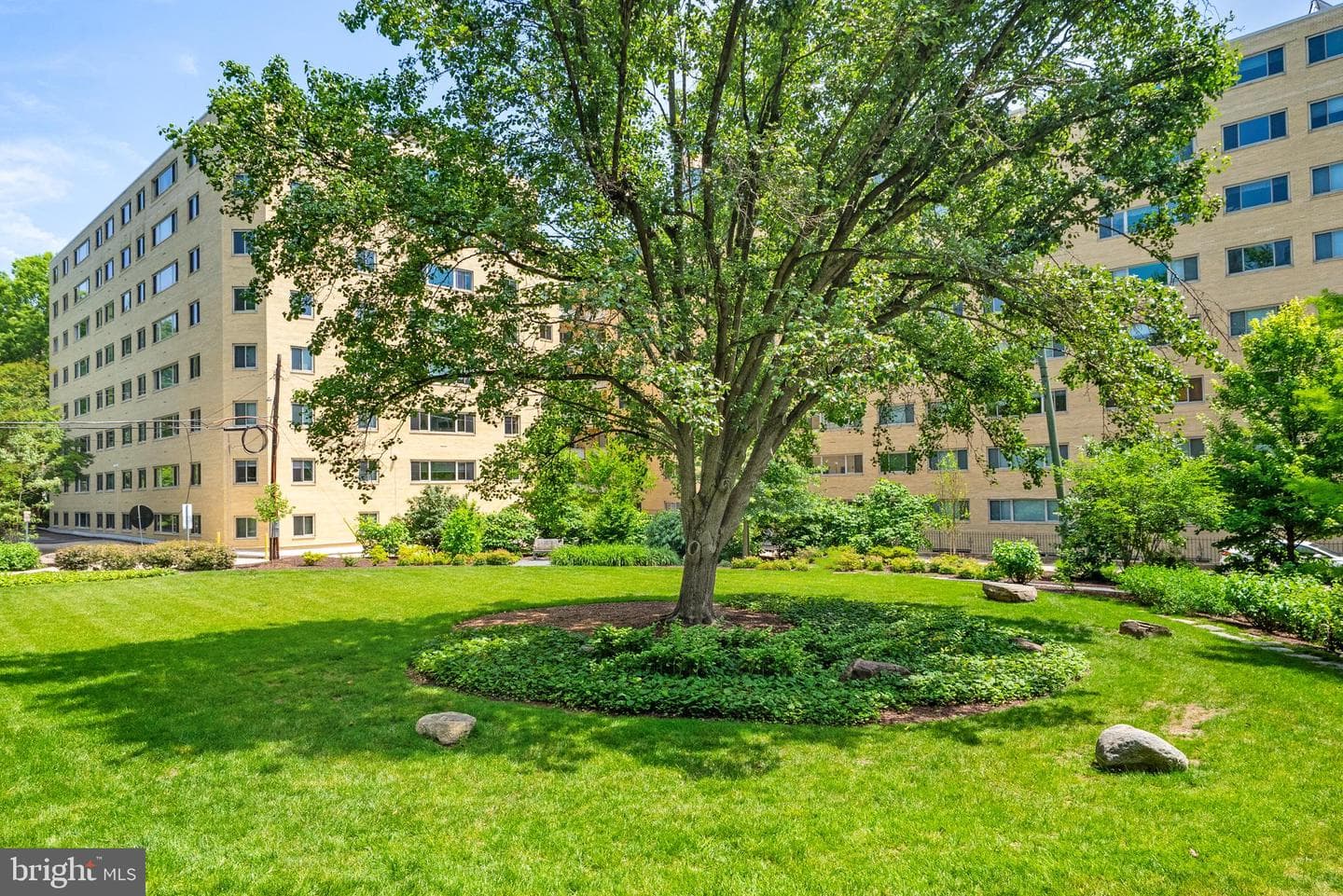 4600 Connecticut Avenue NW #717 photo 32