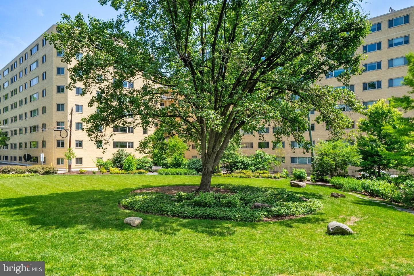 4600 Connecticut Avenue NW #717 photo 33