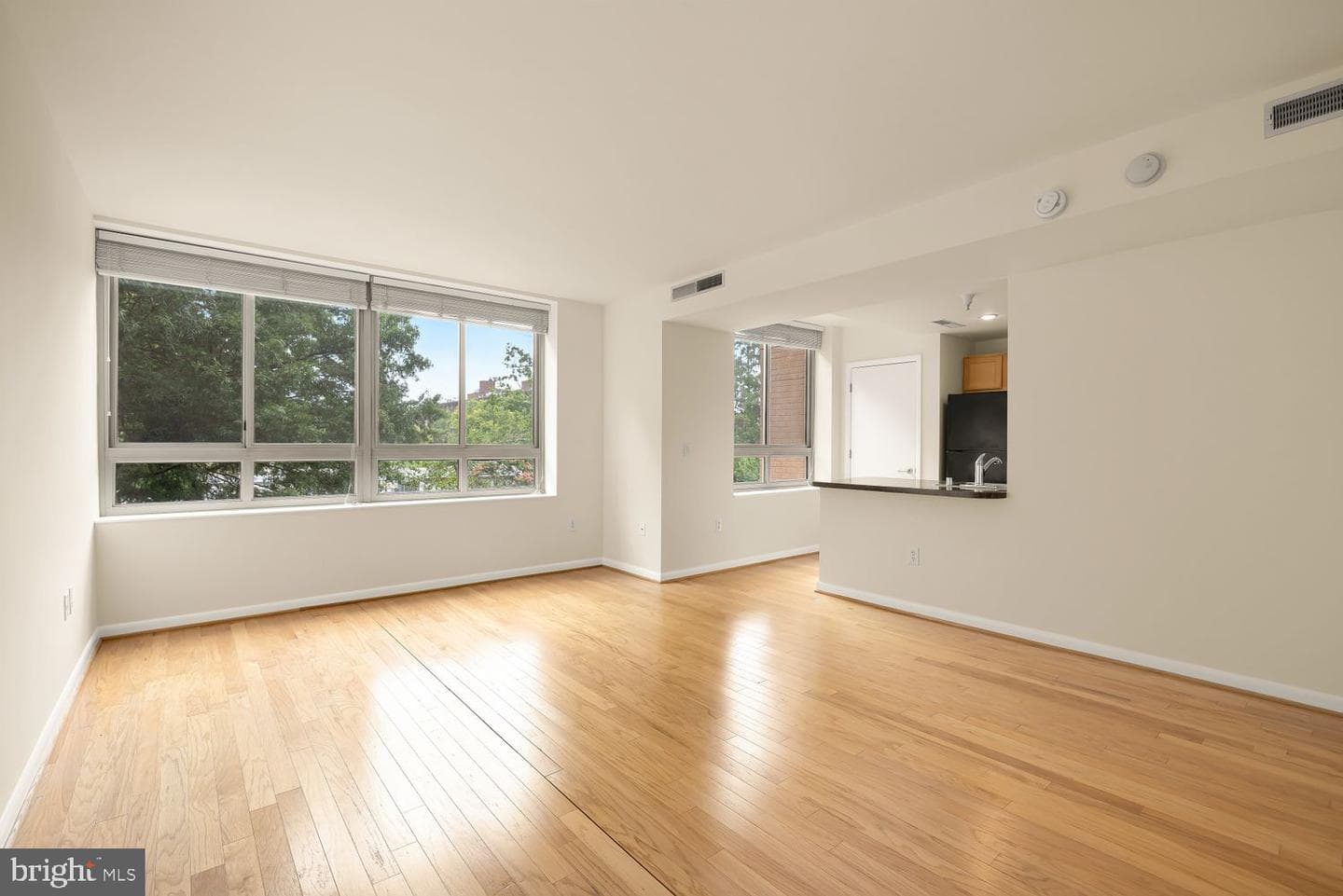 350 G Street SW #n323 photo 9
