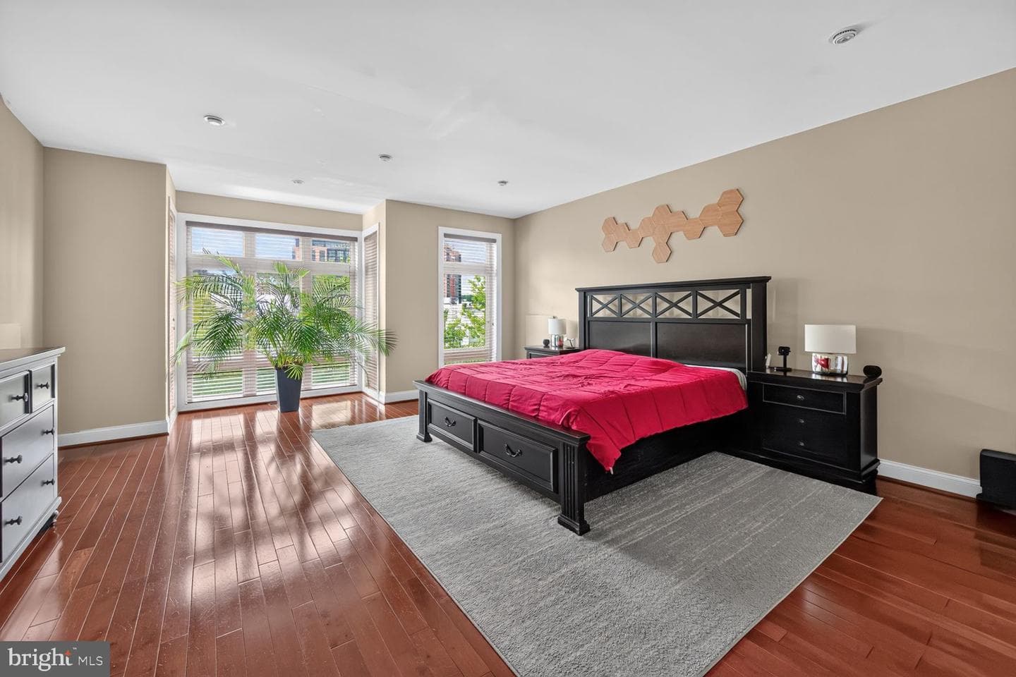 507 M Street NE #2 photo 13