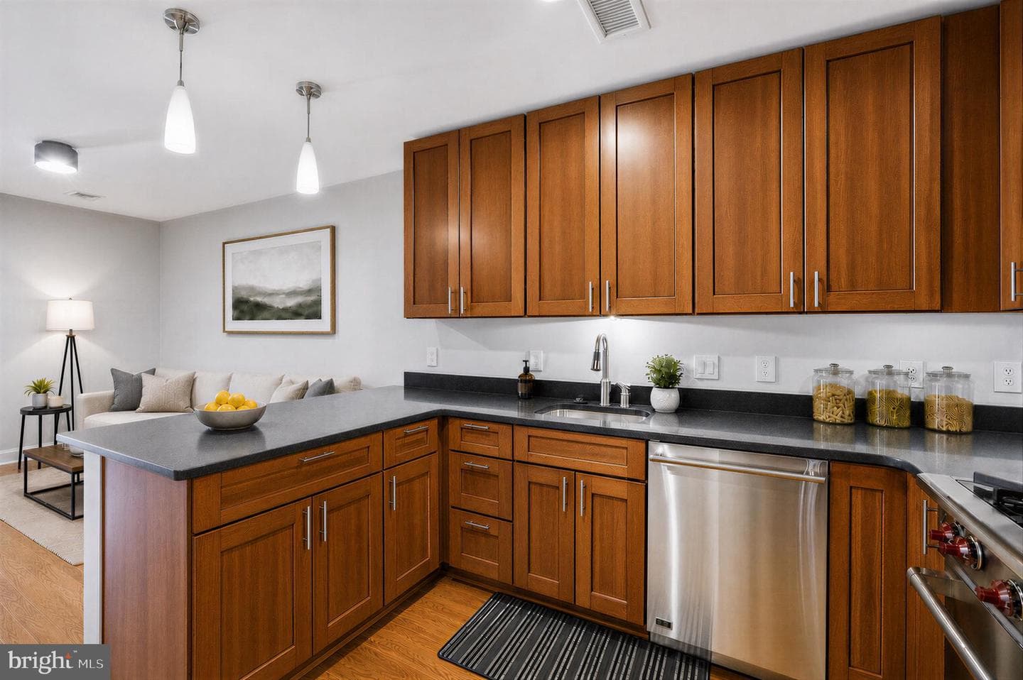215 I Street NE #103 photo 9
