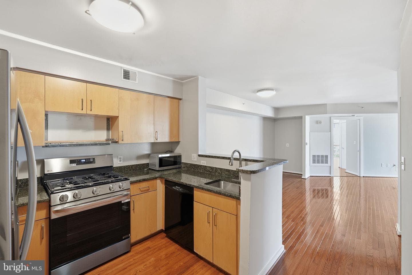1000 New Jersey Avenue SE #513 photo 5