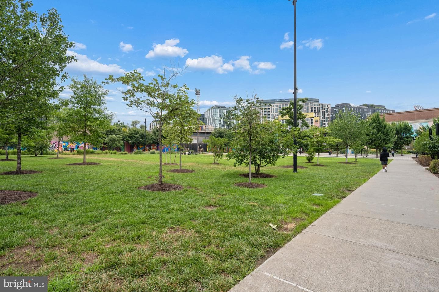 59 R Street NE #1 photo 66
