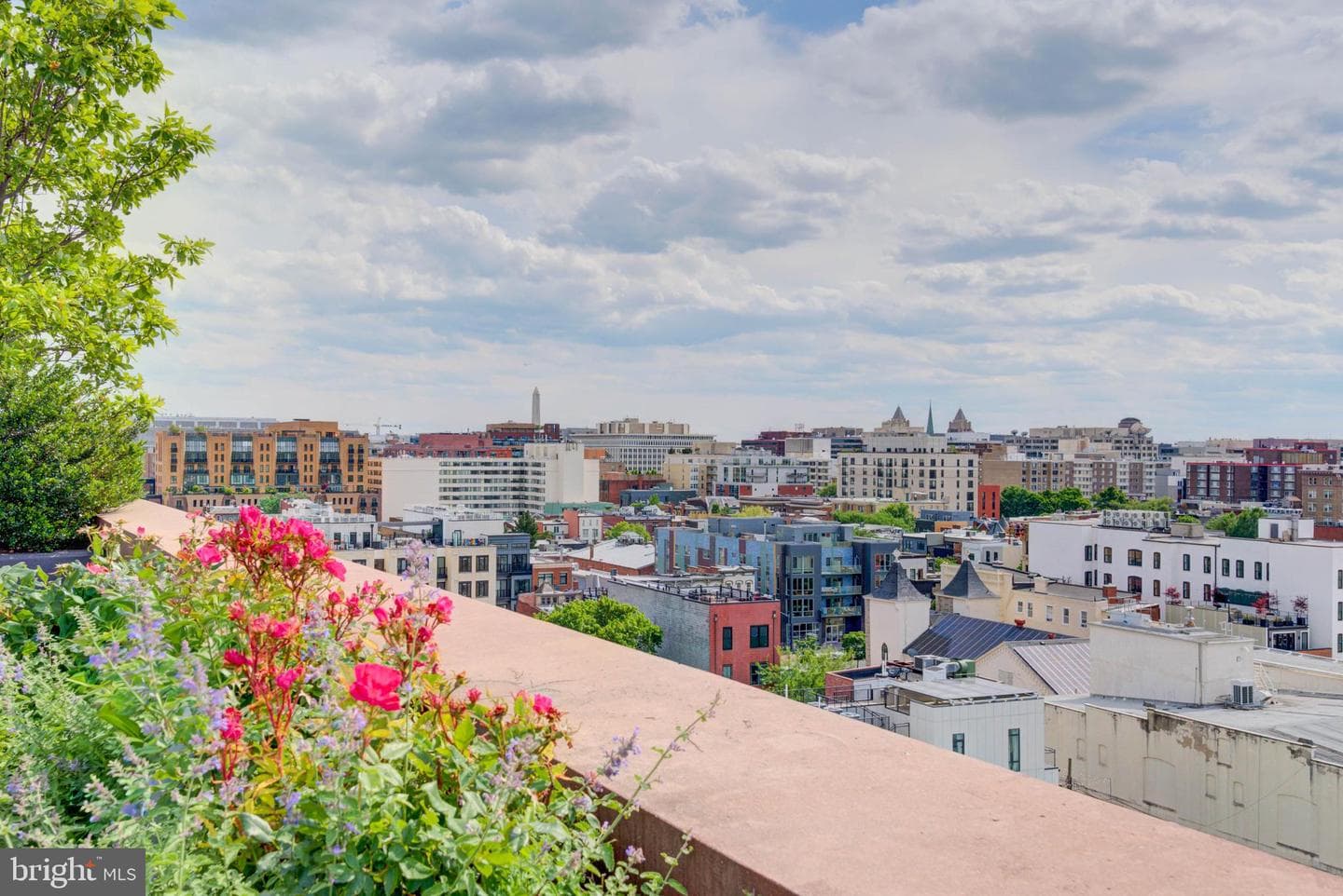 810 O Street NW #609 photo 28