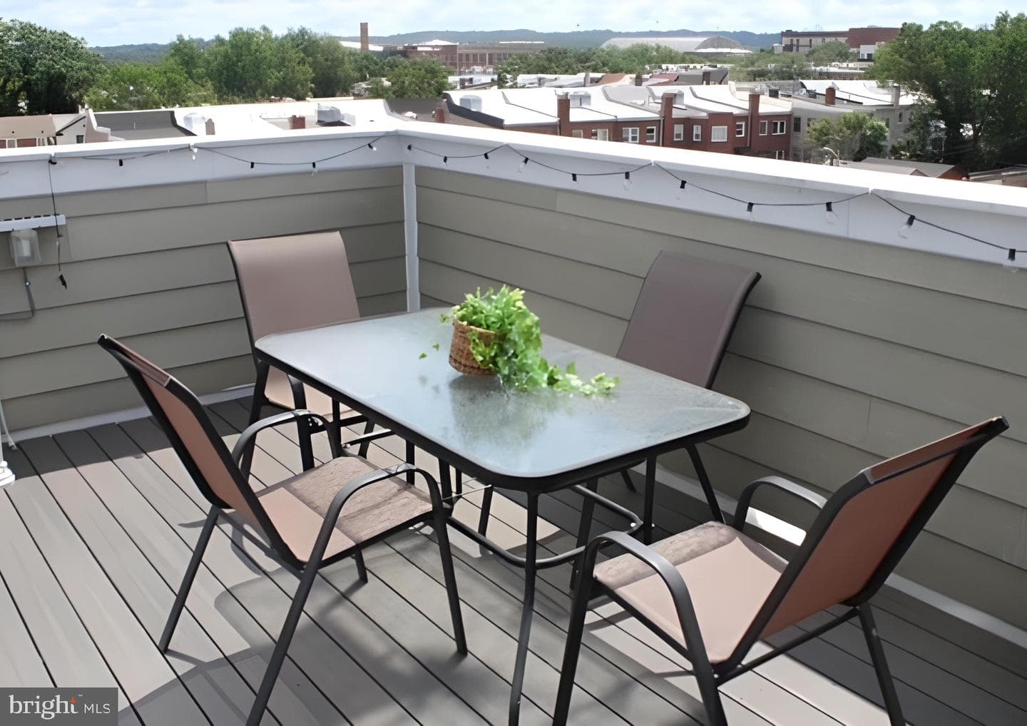 1509 D Street NE #2 photo 44