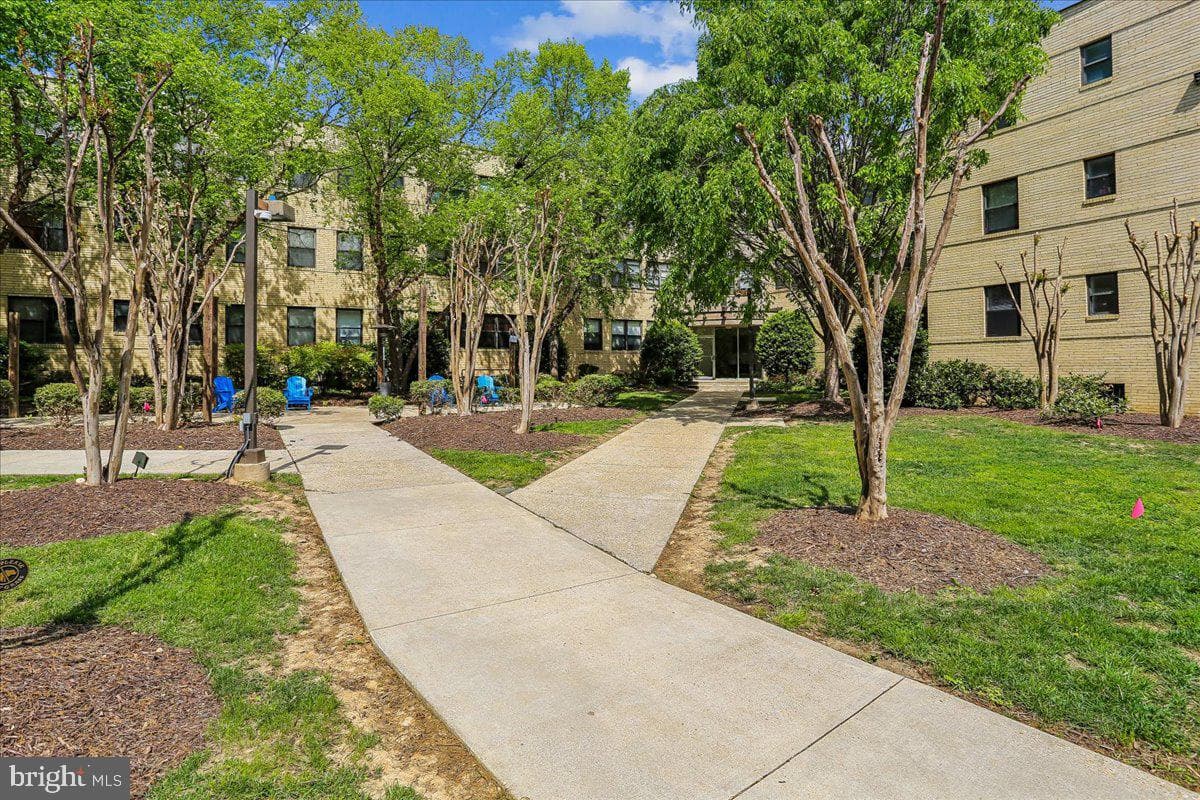 212 Oakwood Street SE #113 photo 6