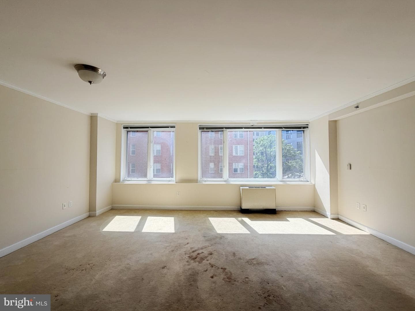 1330 Massachusetts Avenue NW #520 photo 3