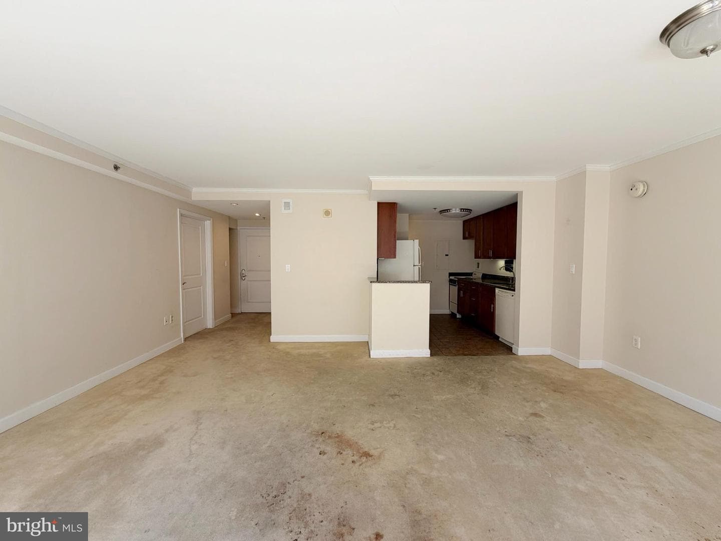 1330 Massachusetts Avenue NW #520 photo 5
