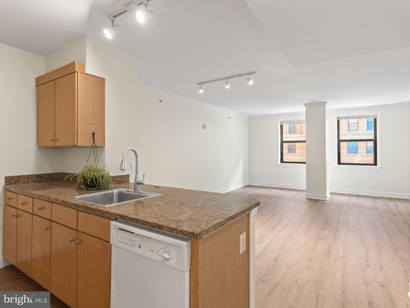 616 E E Street NW #407 photo 1