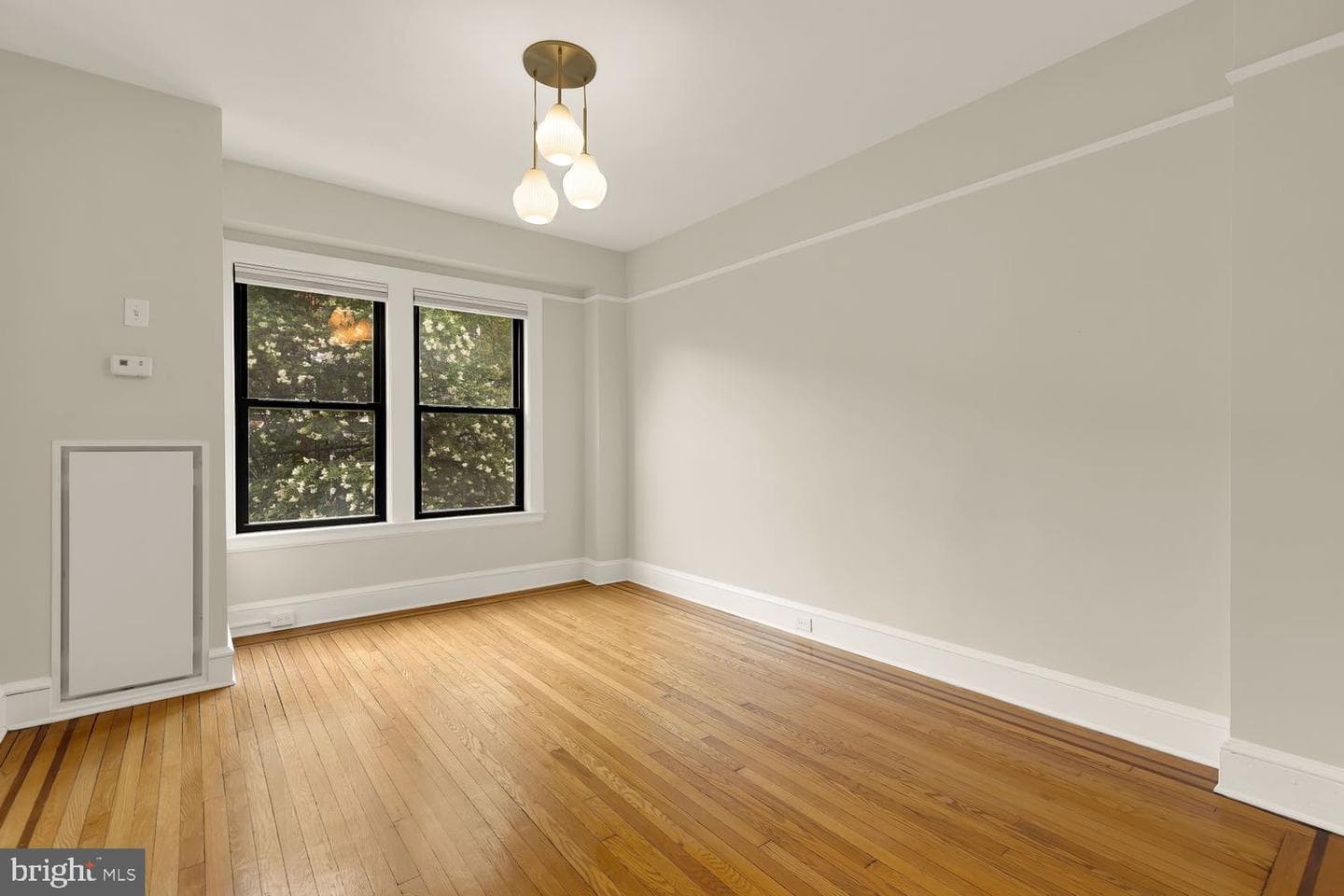 1613 Harvard Street NW #215 photo 16