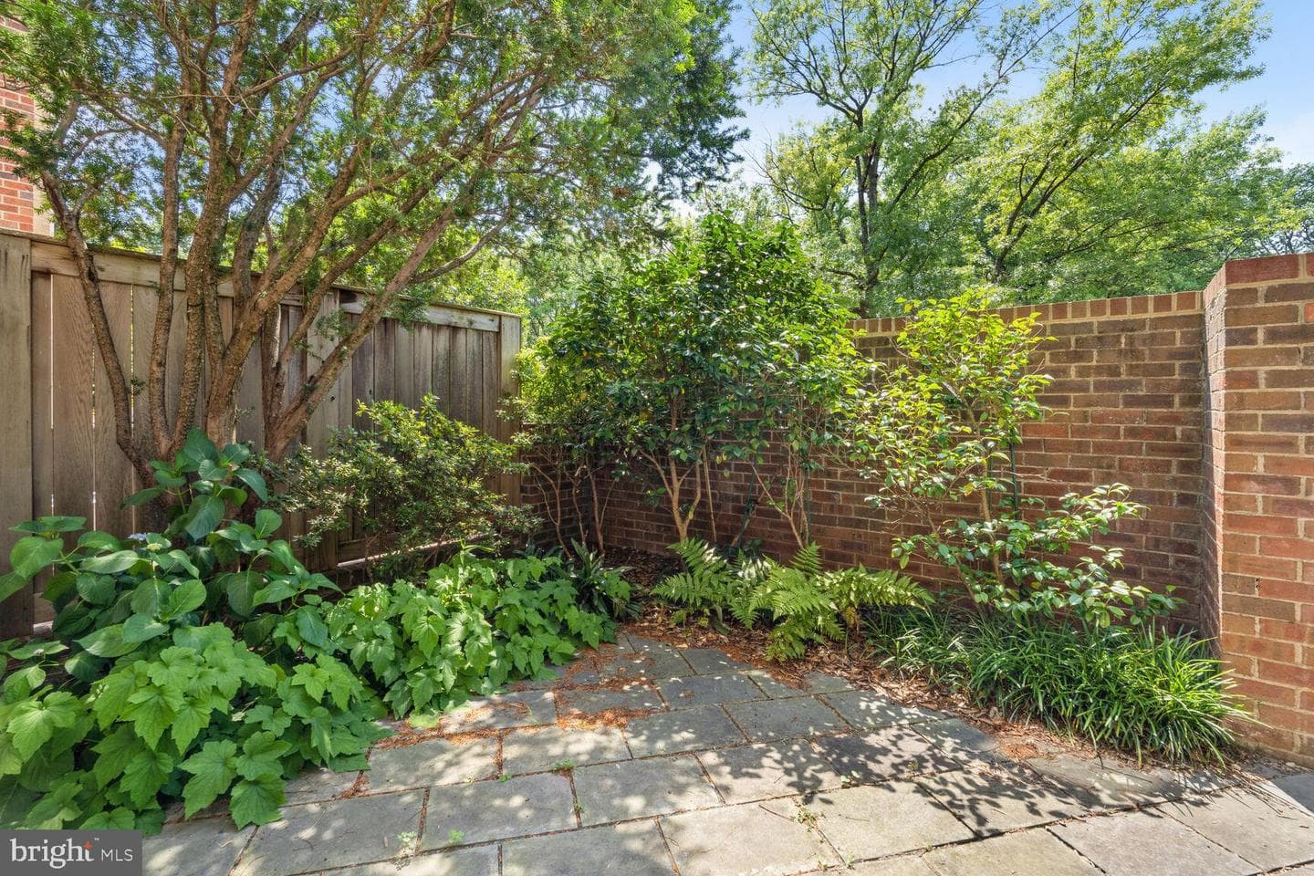 4375 Embassy Park Drive NW photo 20