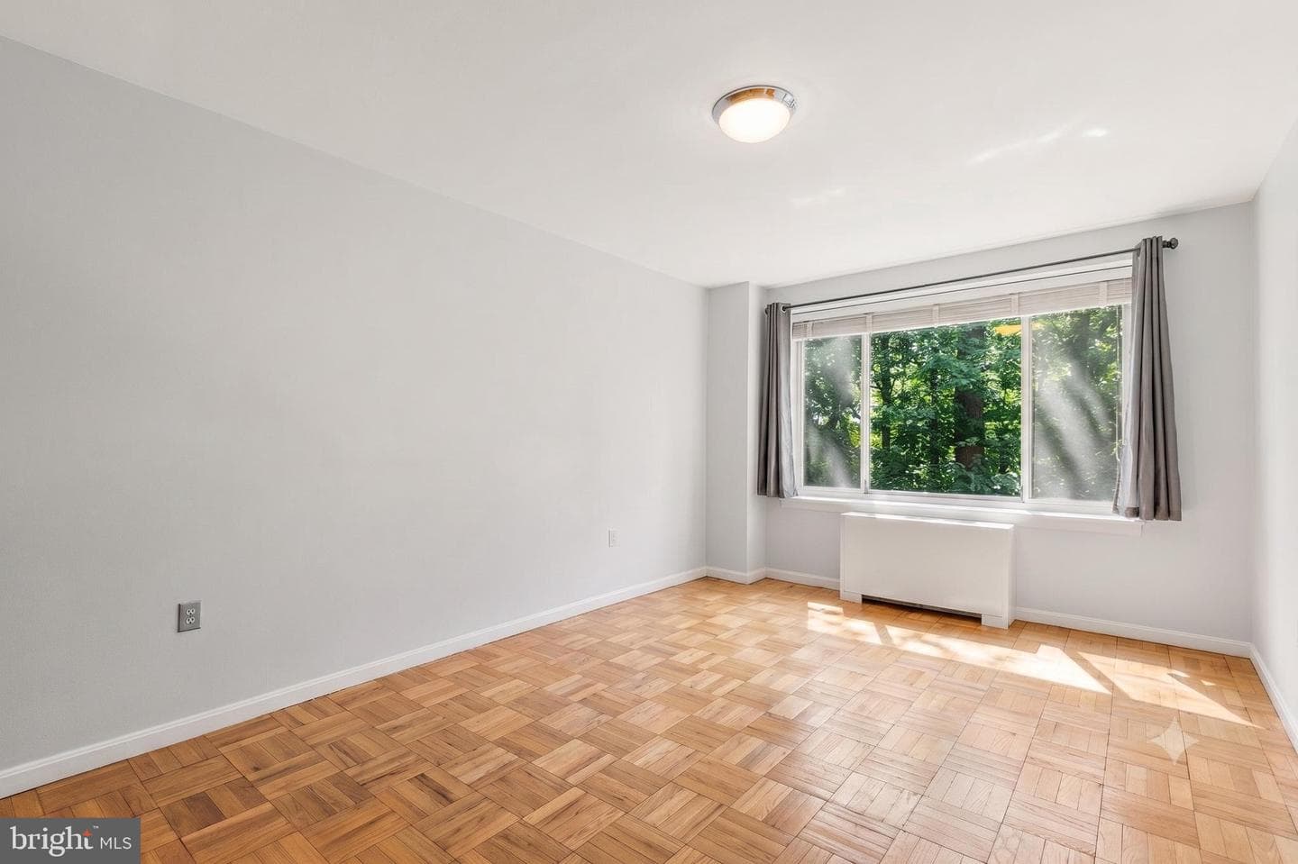 4100 W Street NW #314 photo 19
