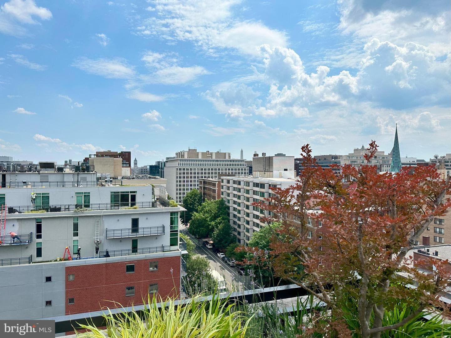 1011 M Street NW #208 photo 30
