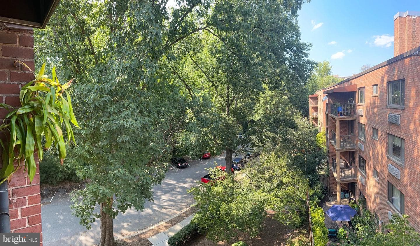 4114 Davis Place NW #315 photo 4