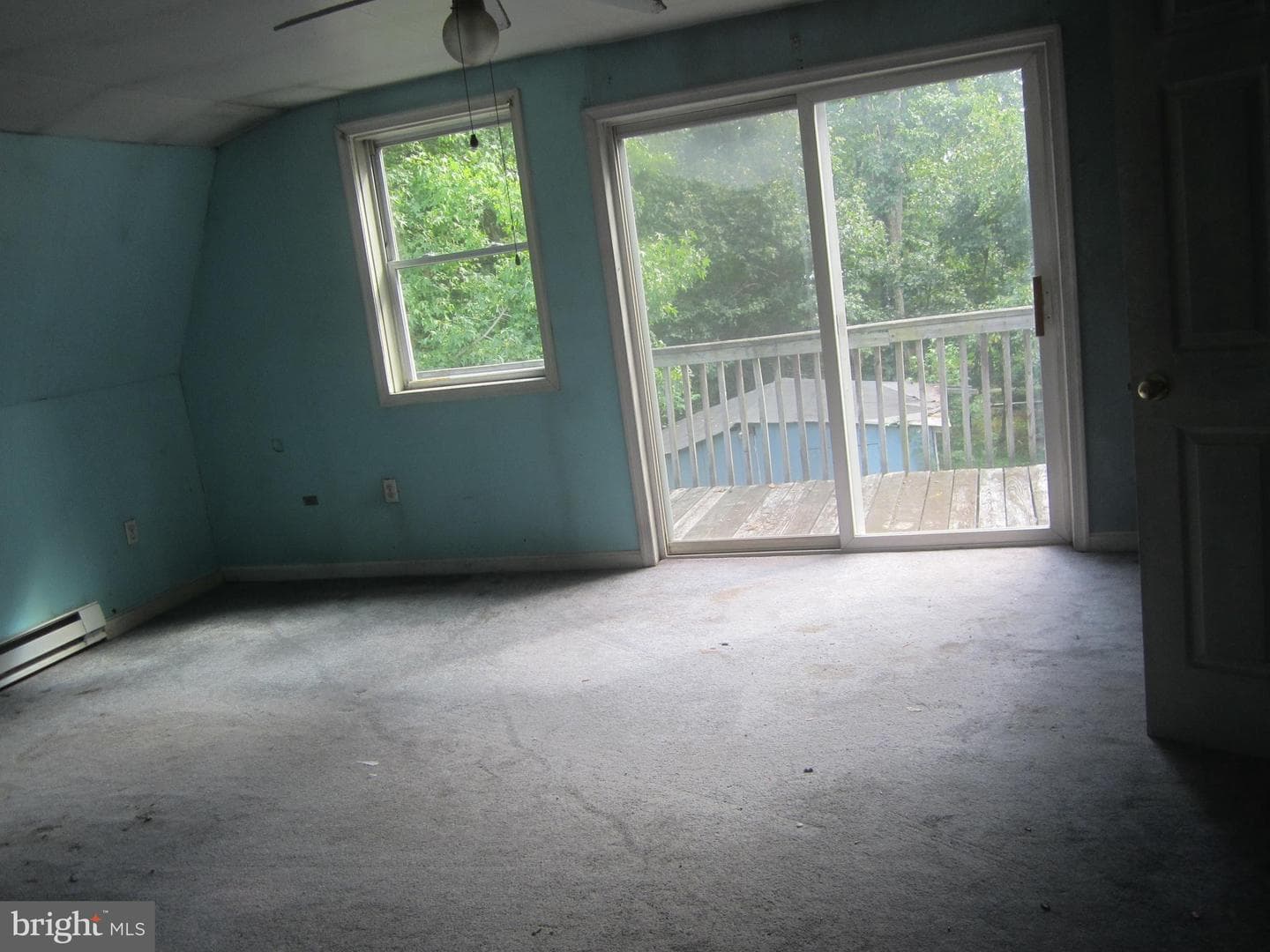 807 Cedar Avenue photo 17