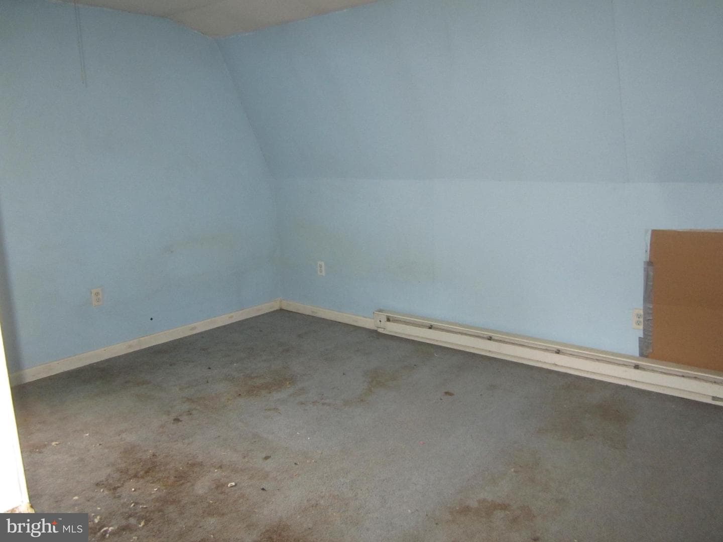 807 Cedar Avenue photo 18