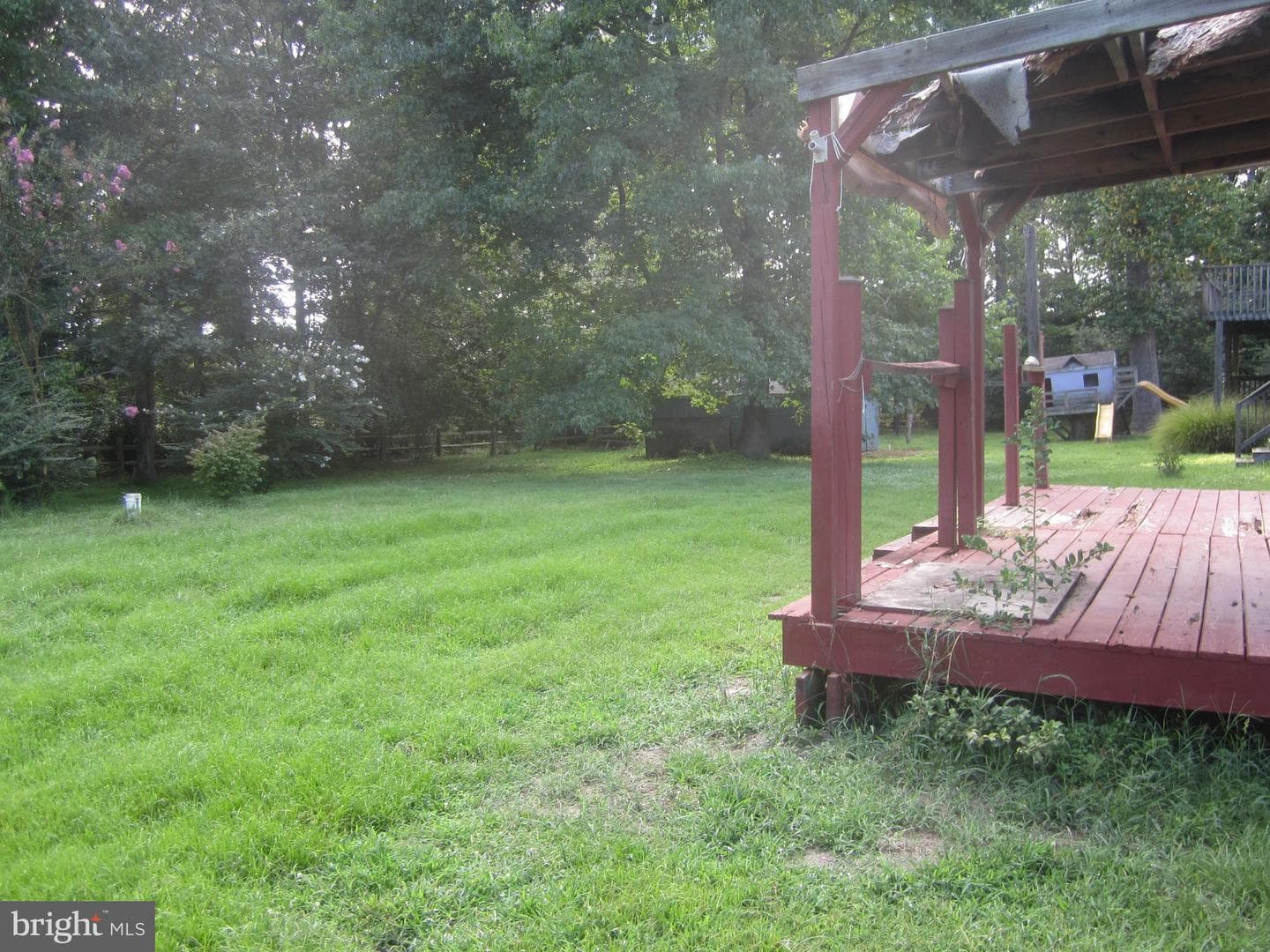 807 Cedar Avenue photo 9