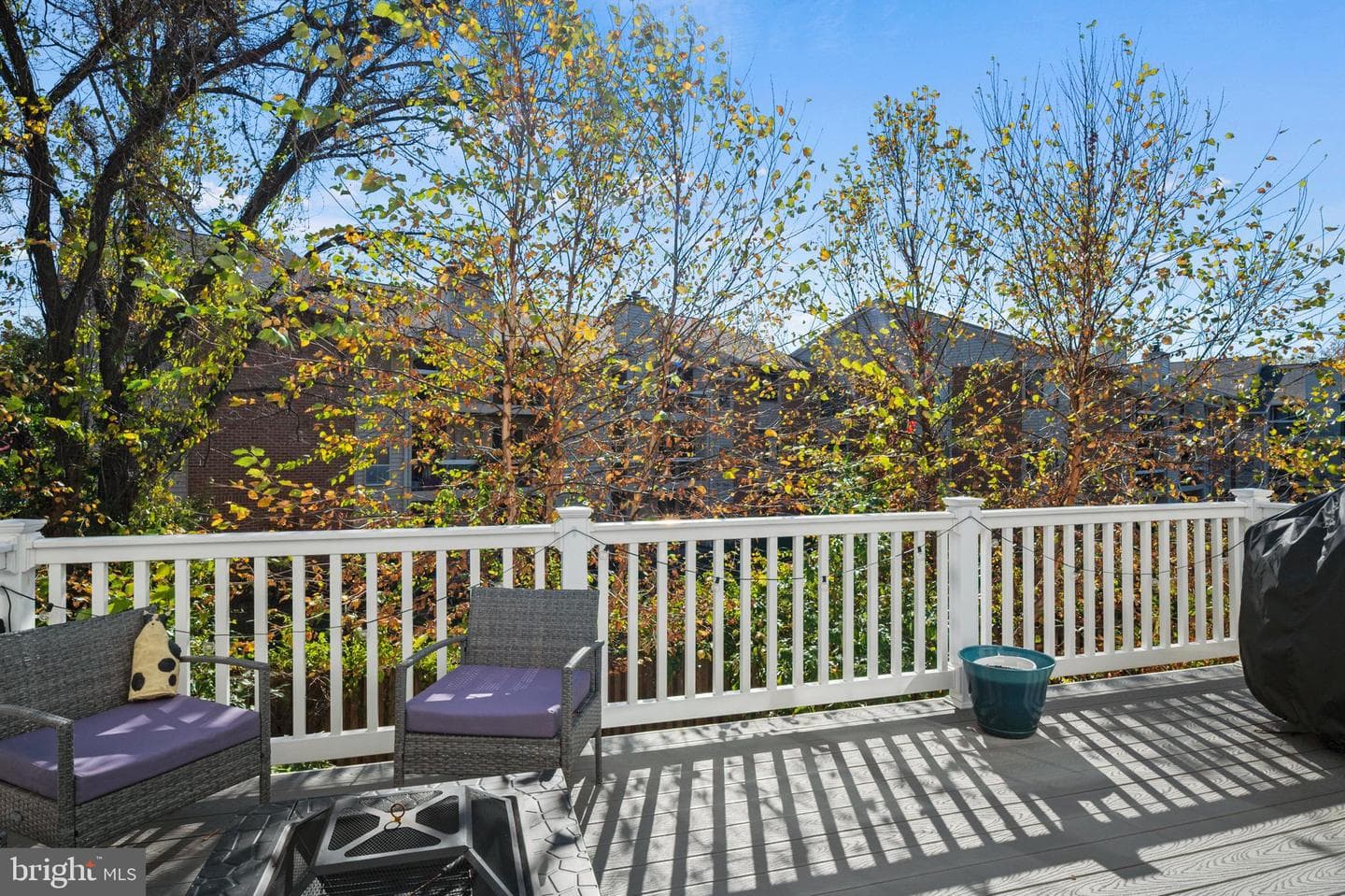 223 Gunther Place photo 29