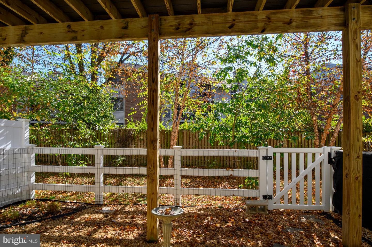 223 Gunther Place photo 32