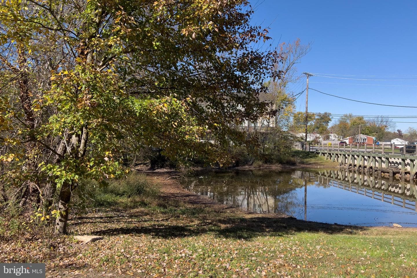 223 Gunther Place photo 38