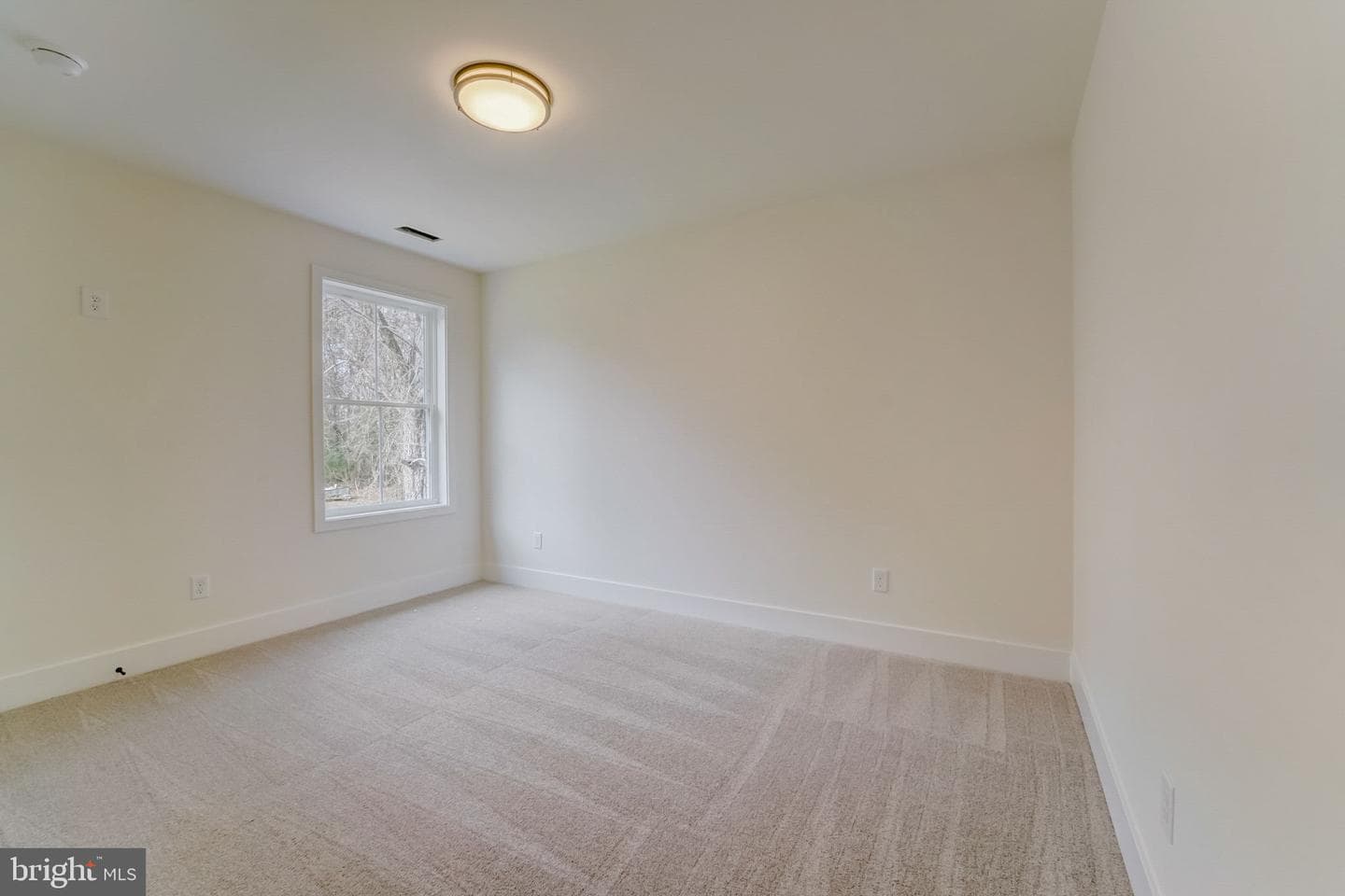 8156 Hog Neck Road photo 32