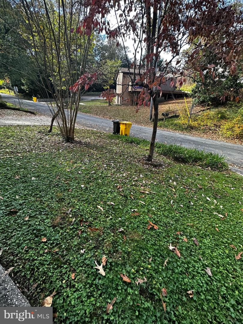 735 Eddy Road photo 18