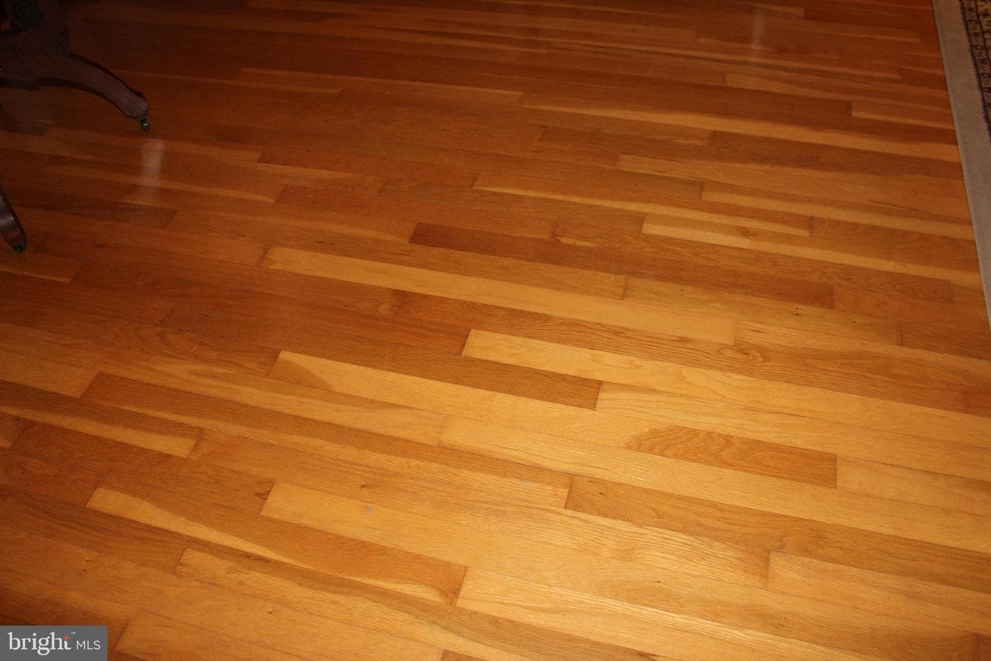 832 Lucky Road photo 3
