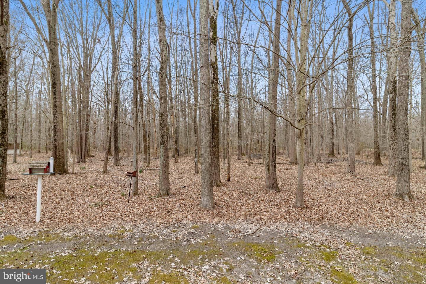 5126 Marx Drive photo 9