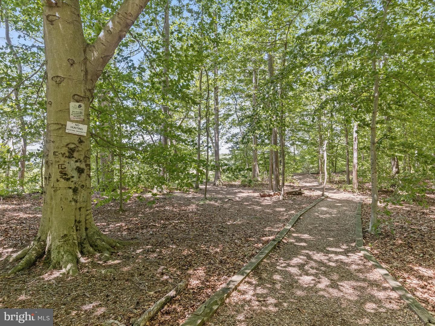 3526 Rippling Way photo 59