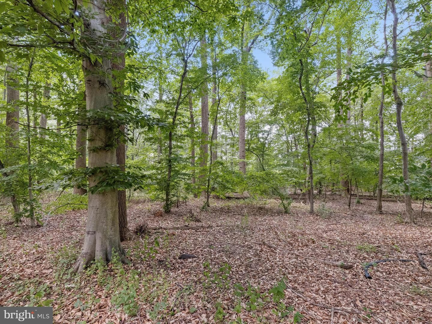 3526 Rippling Way photo 62