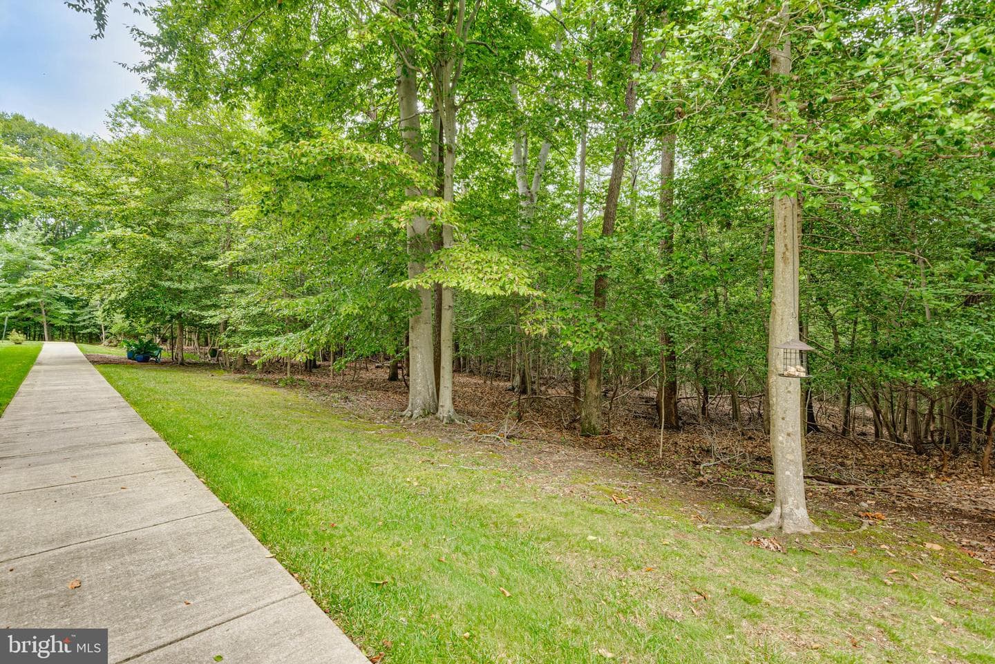 2683 Compass Drive photo 40