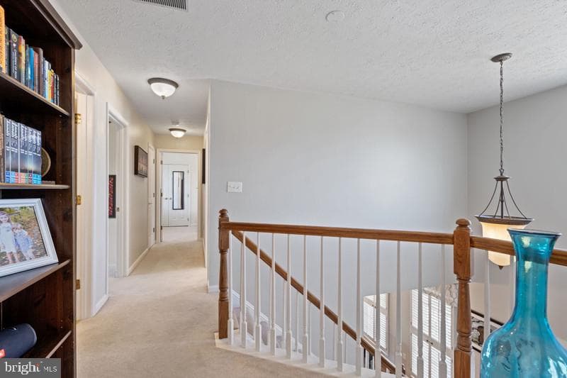 8438 Spring Road photo 18