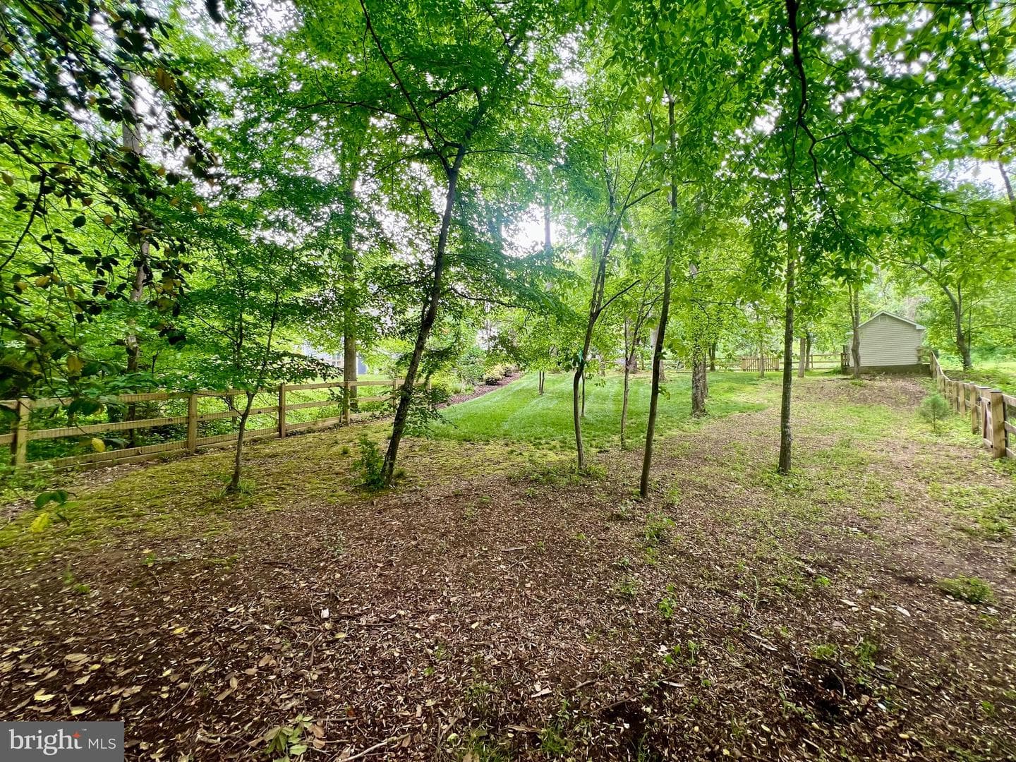 1214 Ripley Road photo 37