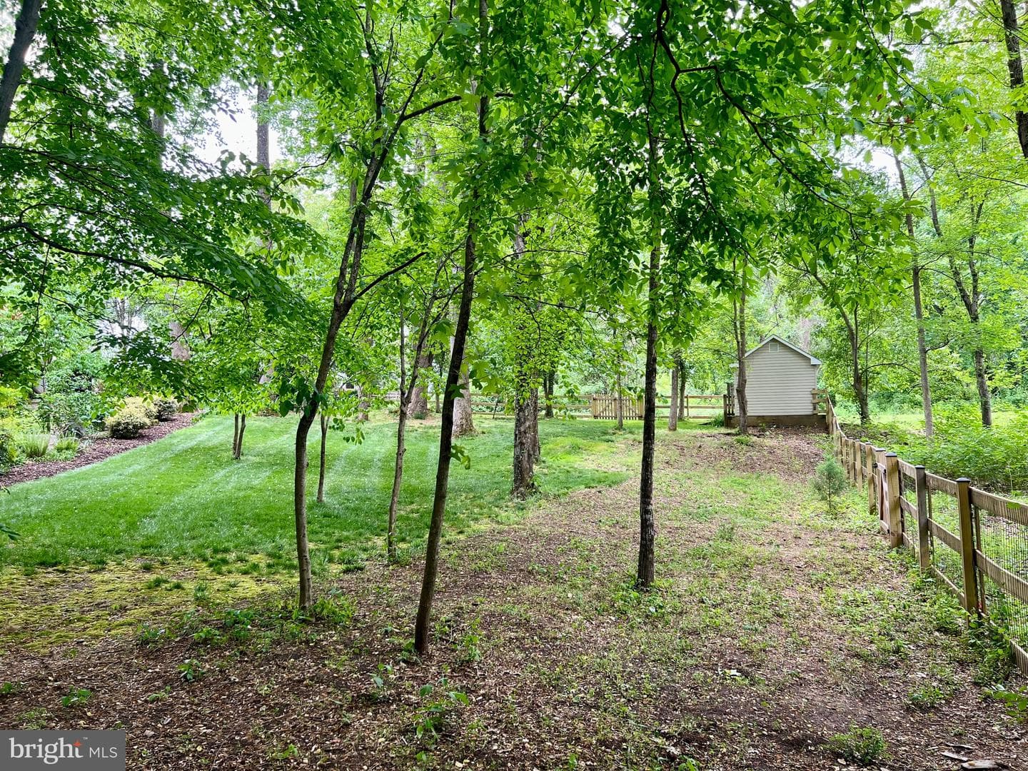 1214 Ripley Road photo 39